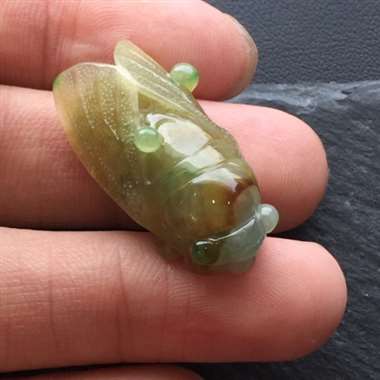 金蝉，栩栩如生，雕工精美。