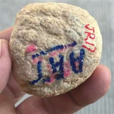 JR17 155克达摩坎开窗精品黄翡，压灯通透，出货漂亮，尺寸：43*40*40mm