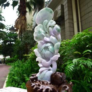 翡翠A货老坑水润春带彩和和美荷花摆件约裸石尺寸：240/85/15 连底坐：350/165/110m