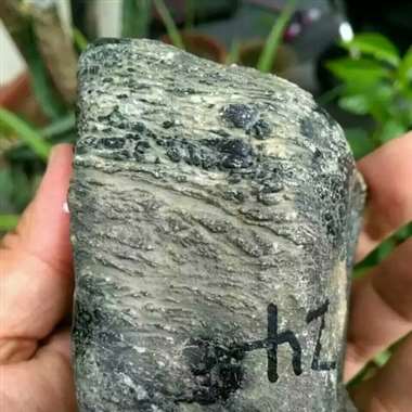 R30，700克莫弯基开窗料，冰种蓝水飘绿花，种已化开，打灯起莹起胶，通透，其他地方也有表现，起货高
