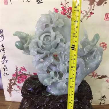 -牡丹花