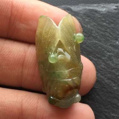 金蝉，栩栩如生，雕工精美。