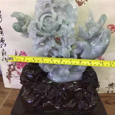-牡丹花