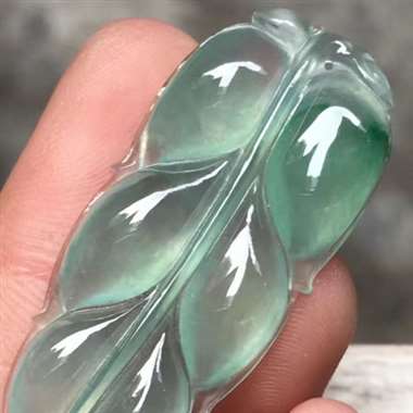高冰飘色叶子，尺寸：39*17*4.6mm，种老水足，水润飘色，水润通透，品相佳，完美起光。H12