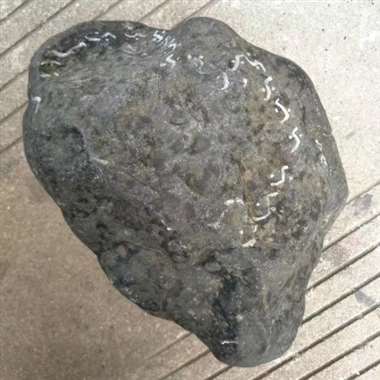 DZ641  12.6公斤莫湾基全赌料，打灯透彻，种水超赞，有飘花表现，皮壳沙砾均匀细腻，多