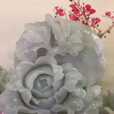 -牡丹花