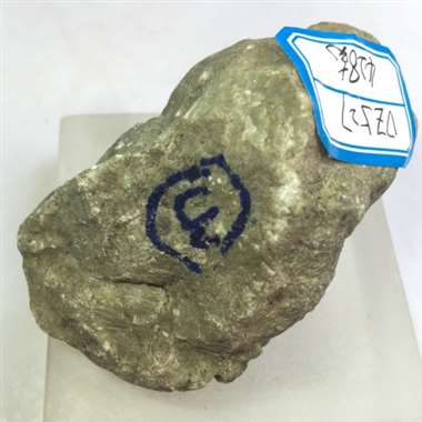 DZ527  428克会卡水翻沙开窗牌子料，开窗处阳绿满色，糯冰种，出货漂亮，种老色阳肉细，眼