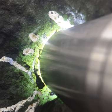 W118  1.74公斤黑乌沙全赌料，打灯表现超赞，种水不错，肉质细腻，有底色，尺寸：19