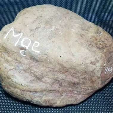 AH