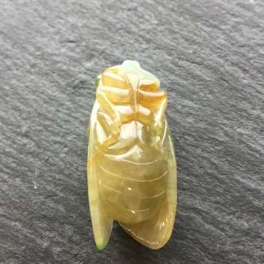 金蝉，栩栩如生，雕工精美。
