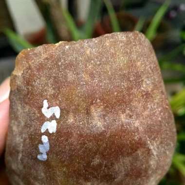 W25，明料一枚，重：279克，糯冰有底色，种已老到家了，出货漂亮，挂件几个妥妥的，尺寸：61*55