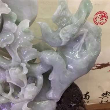 -牡丹花