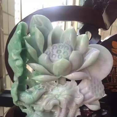 -莲花 -莲花