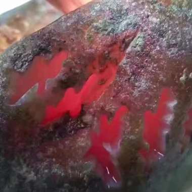 DJ19新货2.48kg老会卡开窗桃花春手镯料，还记得这家伙吧～给开窗了[阴险][阴险