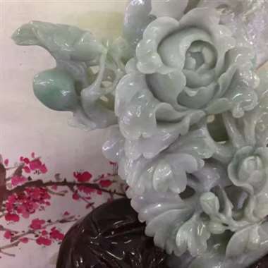 -牡丹花